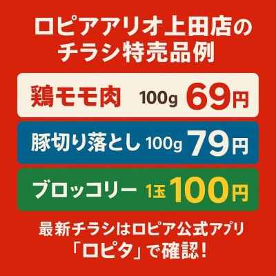 ロピアアリオ上田店のチラシ情報