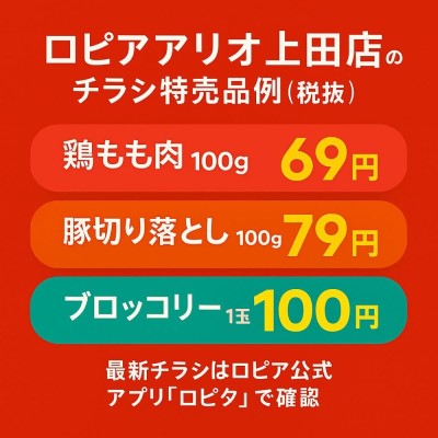 ロピアアリオ上田店のチラシ情報