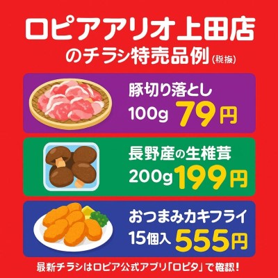ロピアアリオ上田店のチラシ情報
